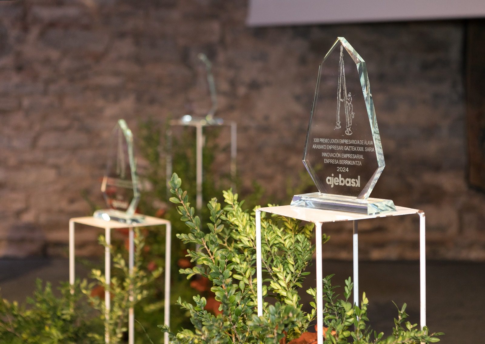 premios-joven-empresario-alava